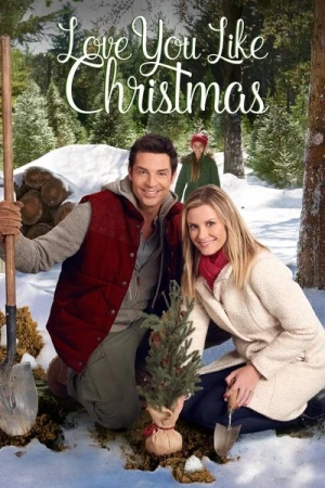 Regarder Coup de foudre sous le sapin en streaming complet