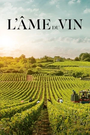 Regarder L'âme du vin en streaming complet