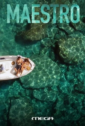 Regarder Le Blues du Maestro - Saison 1 en streaming complet