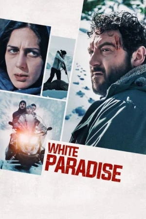 Regarder Les Survivants en streaming complet