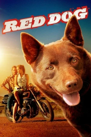Regarder Red Dog en streaming complet