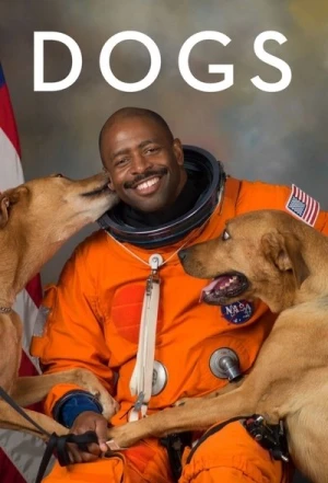 Regarder Nos amis les Chiens - Saison 2 en streaming complet