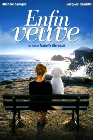 Regarder Enfin veuve en streaming complet
